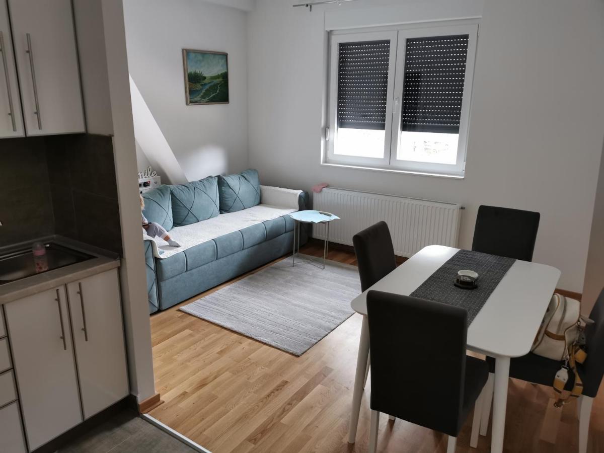Apartman Divcigora Sokic Дівчибаре Екстер'єр фото