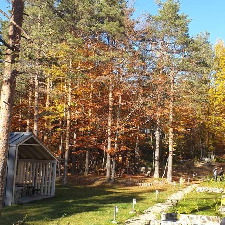 Apartman Divcigora Sokic Дівчибаре Екстер'єр фото
